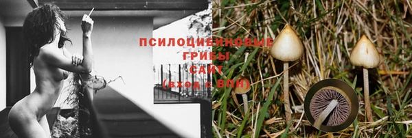 кристаллы Покровск
