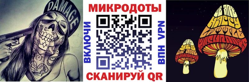 Псилоцибиновые грибы мицелий Белая Калитва