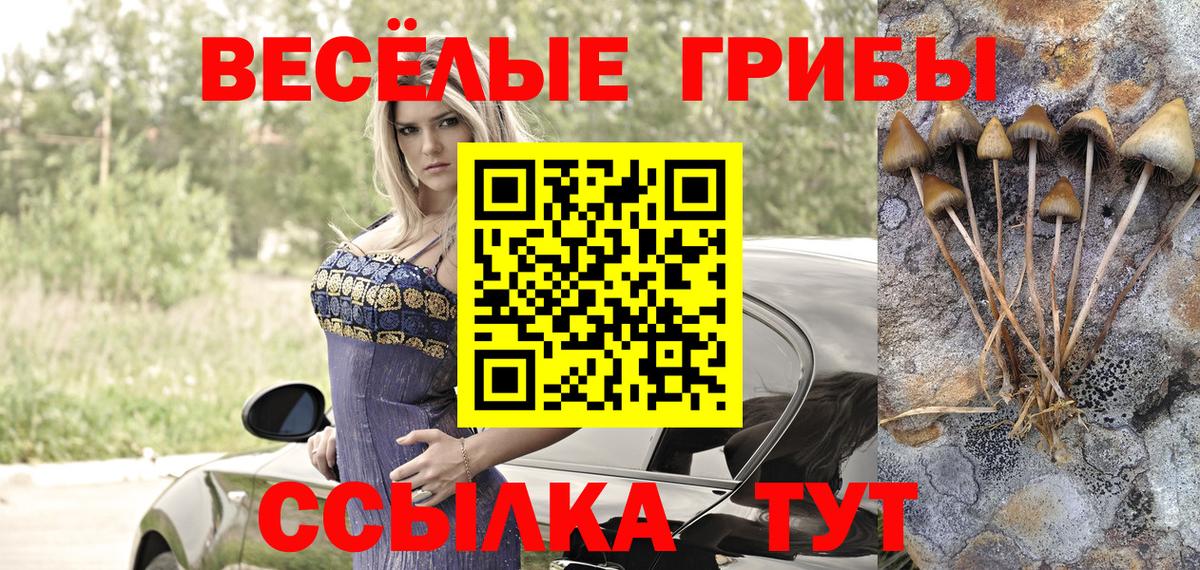 Галлюциногенные грибы Psilocybe Белая Калитва