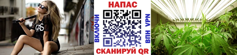 Марихуана OG Kush  Белая Калитва 